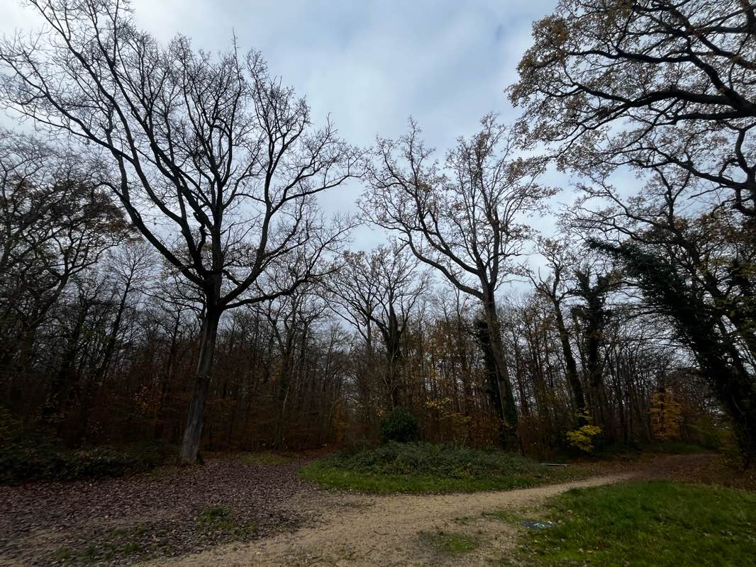 walking near me in Parc de l'Observatoire in winter