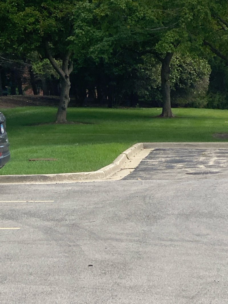 walking near me in Stonebridge Park in autumn
