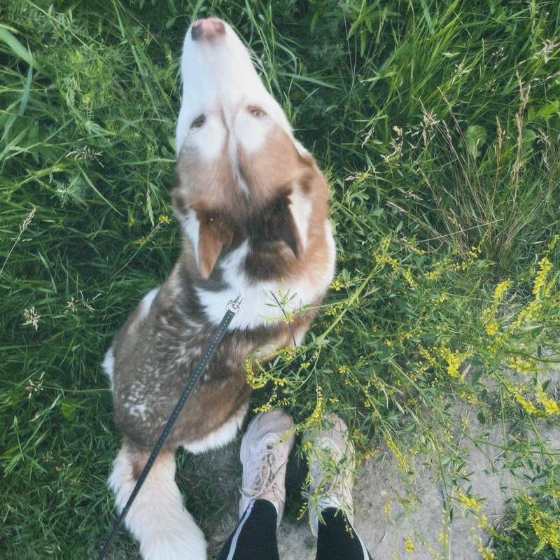 Денисова Дарья