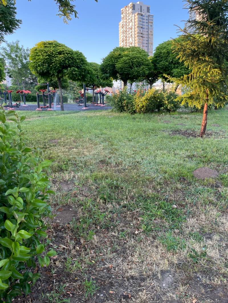 walking near me in Türkan Saylan Parkı in summer