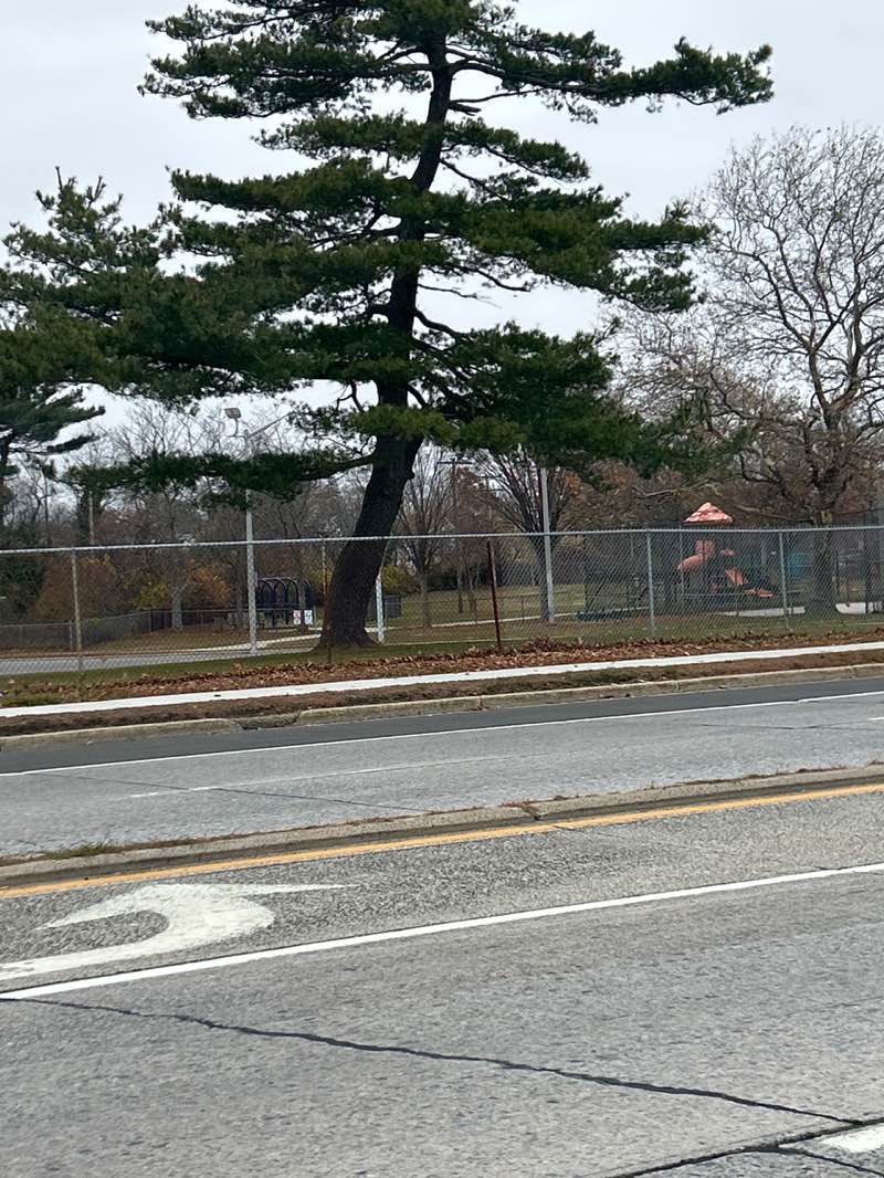 walking near me in Thurman Munson Ball Field in autumn