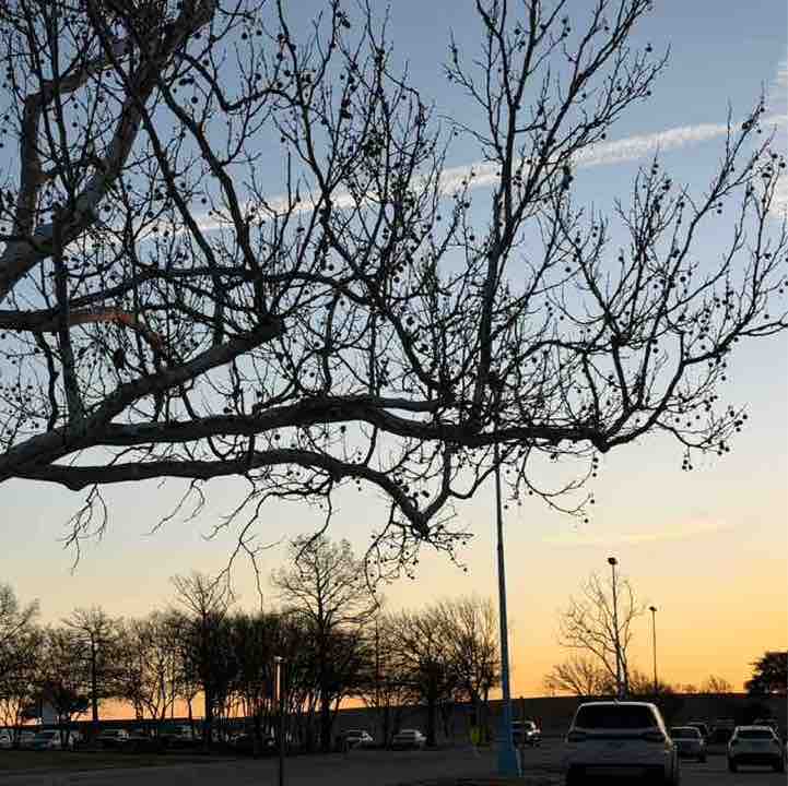 TANGO DELTA LOFR post 2