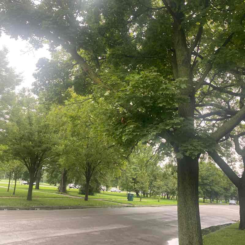 betty_dominguez post 1