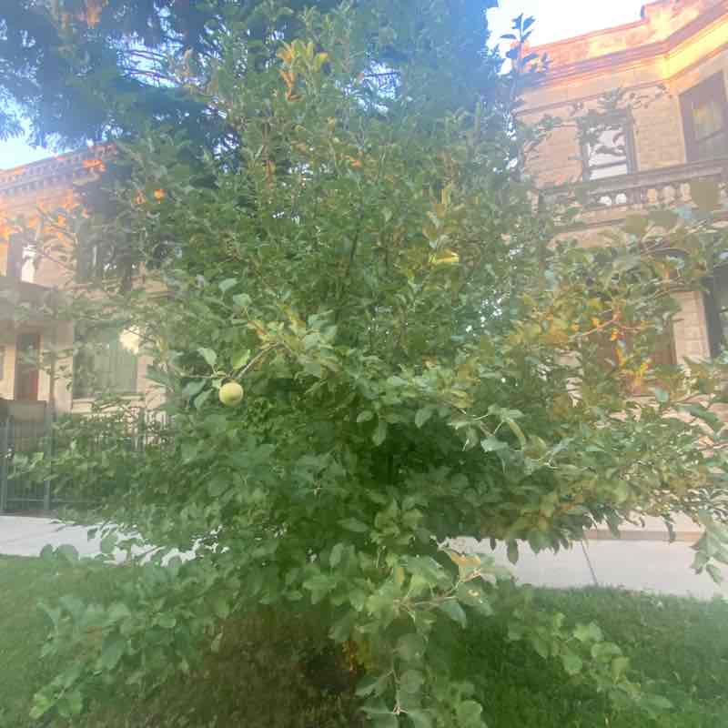 betty_dominguez post 1