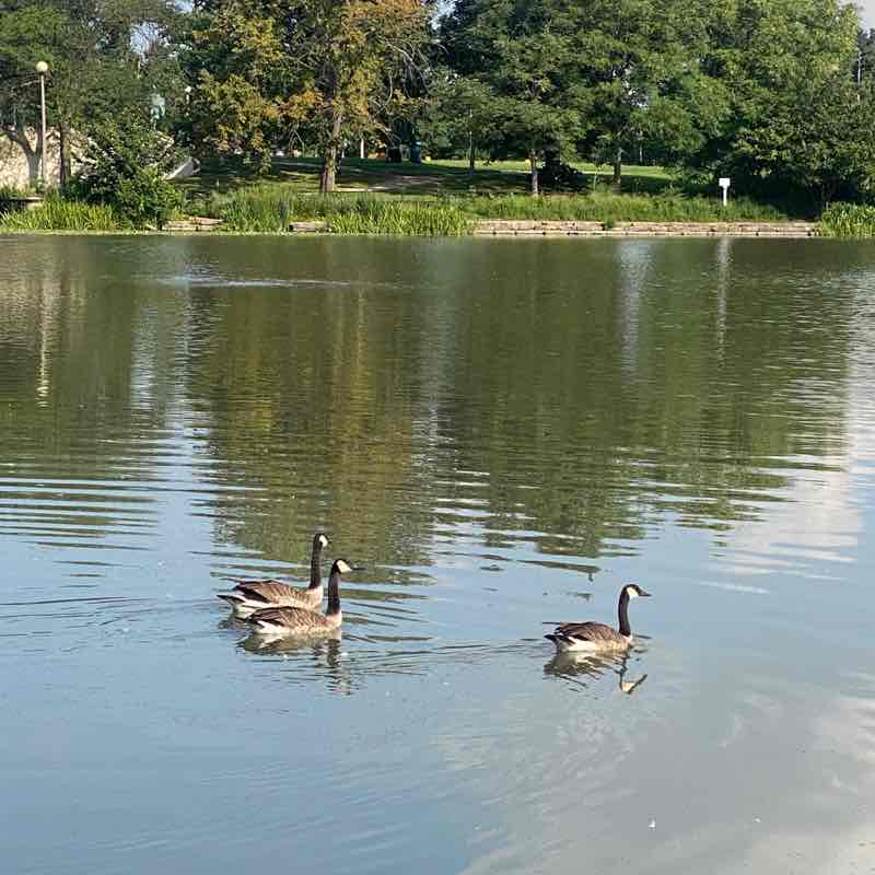 betty_dominguez post 3