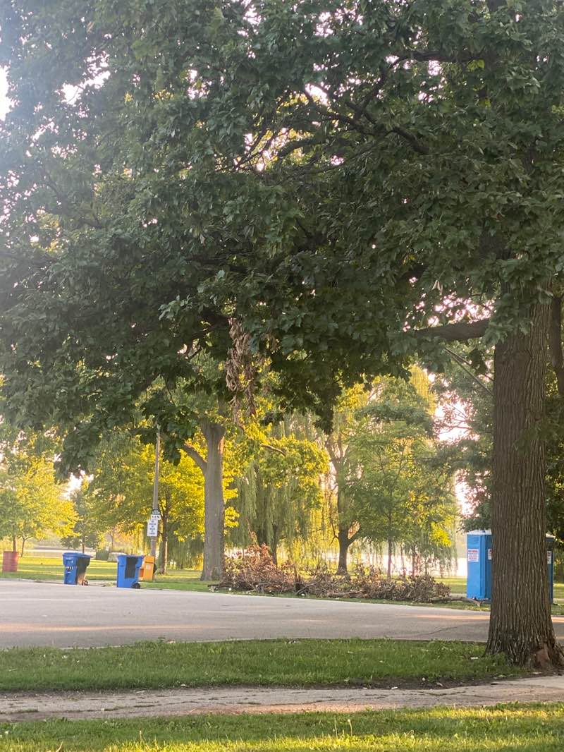 walking near me in Humboldt Park in autumn
