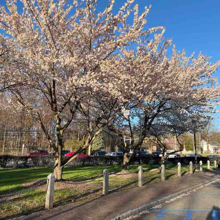 CONED CTS CLUB SHAILESH post image