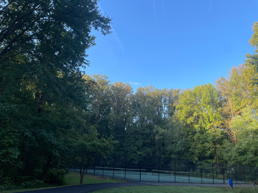 walking near me in Deerlick Park in autumn