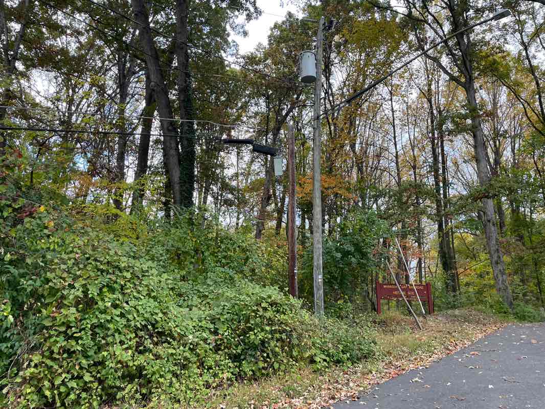 walking near me in Manassas Gap Park in autumn