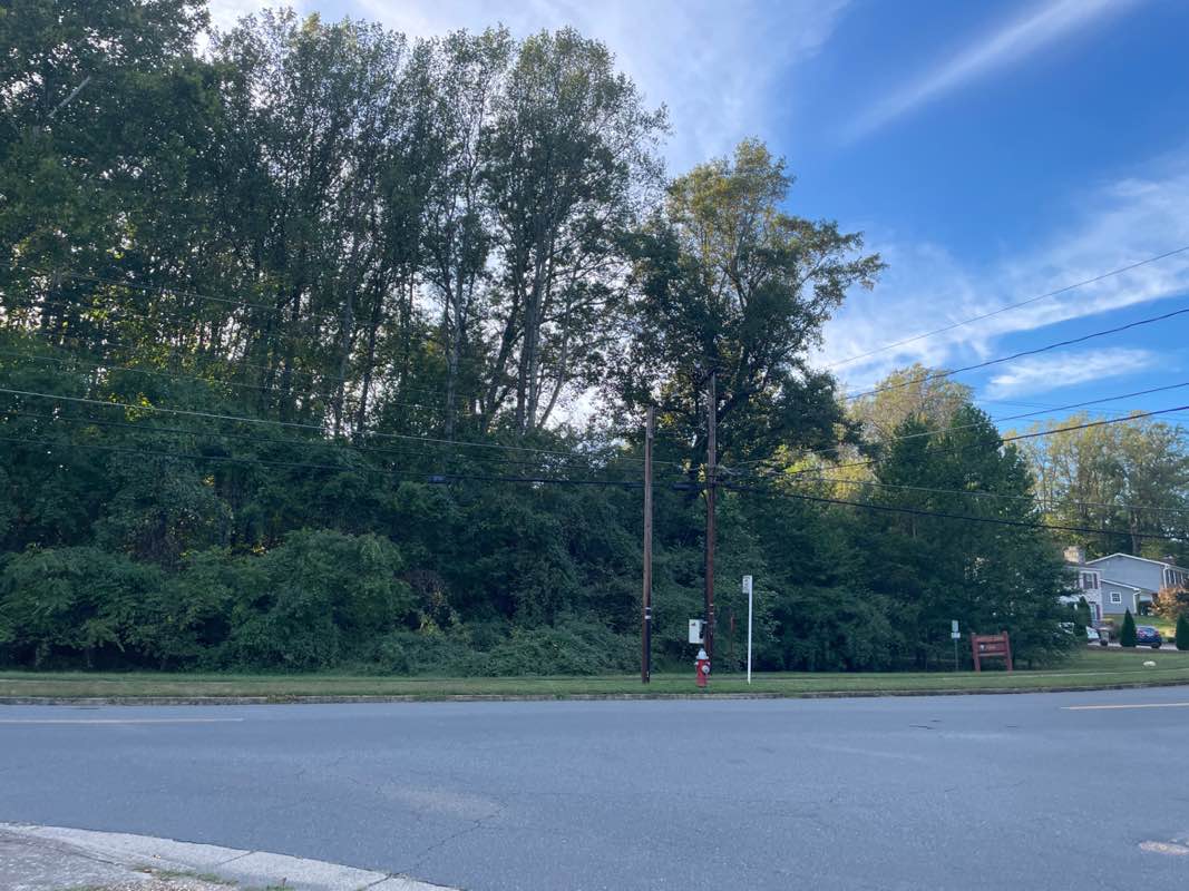 walking near me in Wakefield Chapel Park in autumn