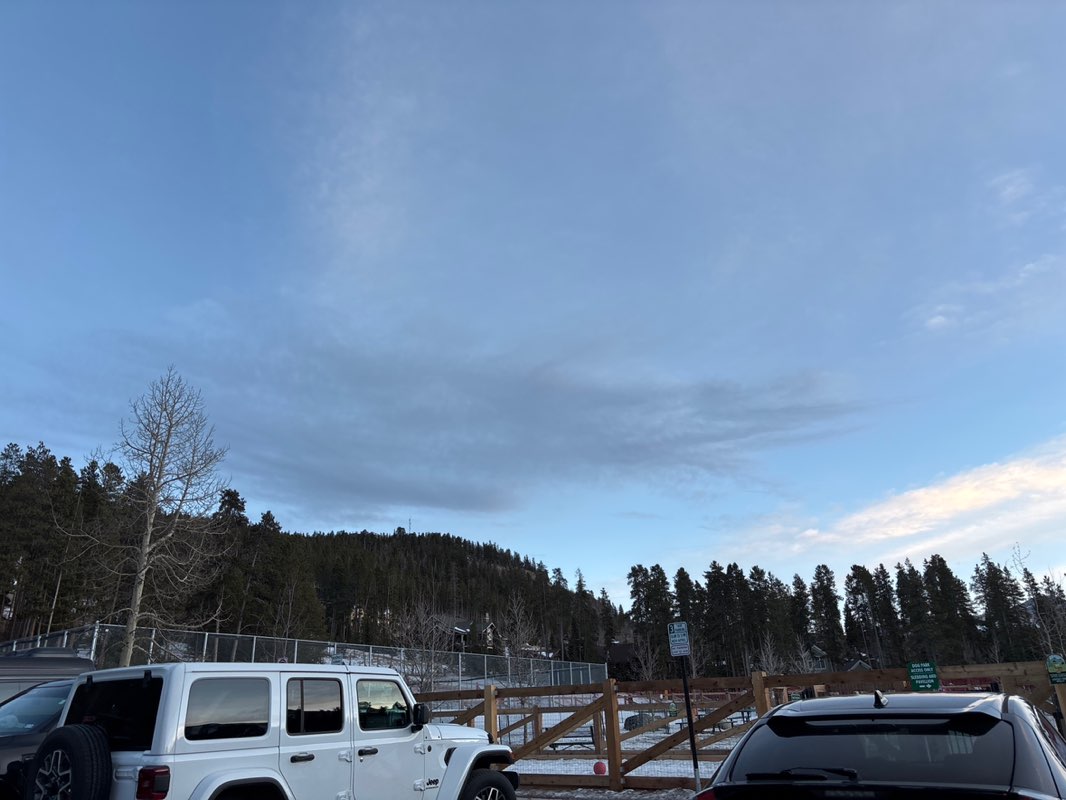 walking near me in Carter Park in winter