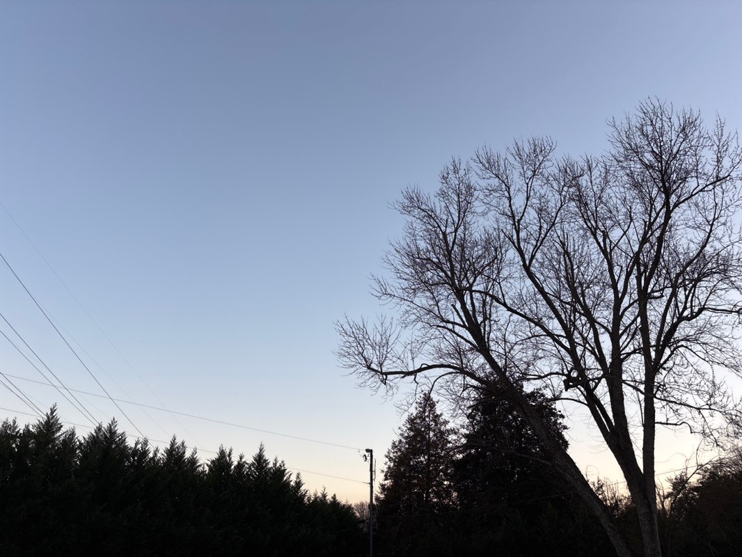 walking near me in Americana Park in winter