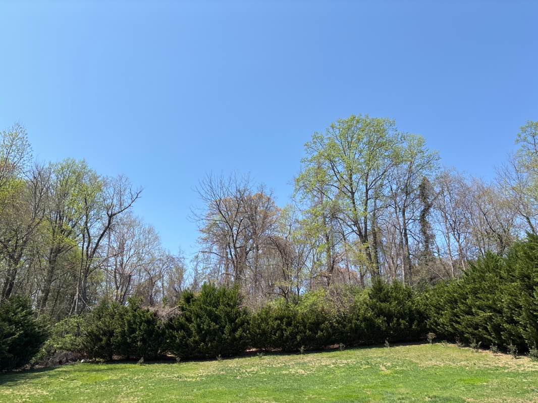 walking near me in Americana Park in spring