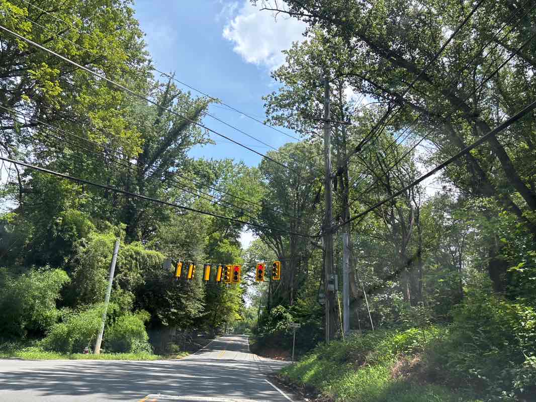 walking near me in Timberly Park in summer