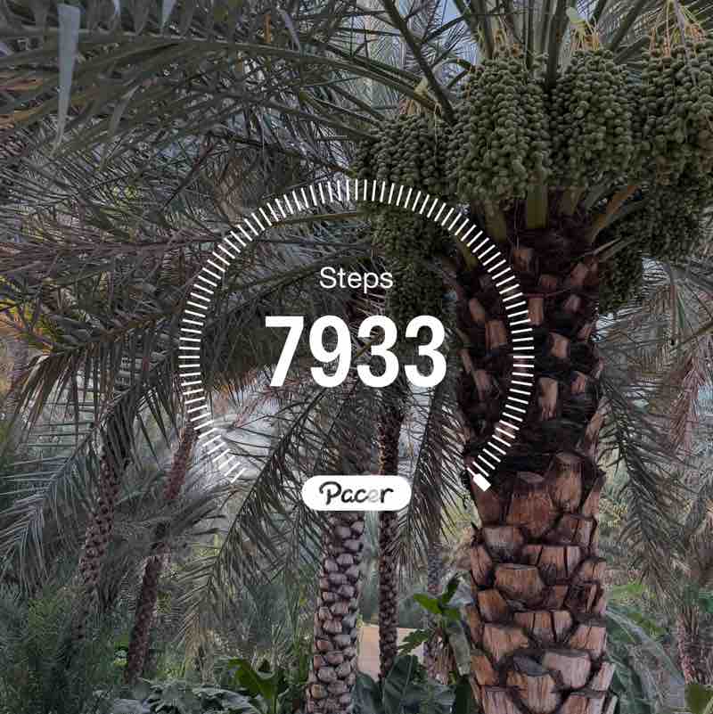 تحدي أبطال السلطنة (نساء) Asial post image