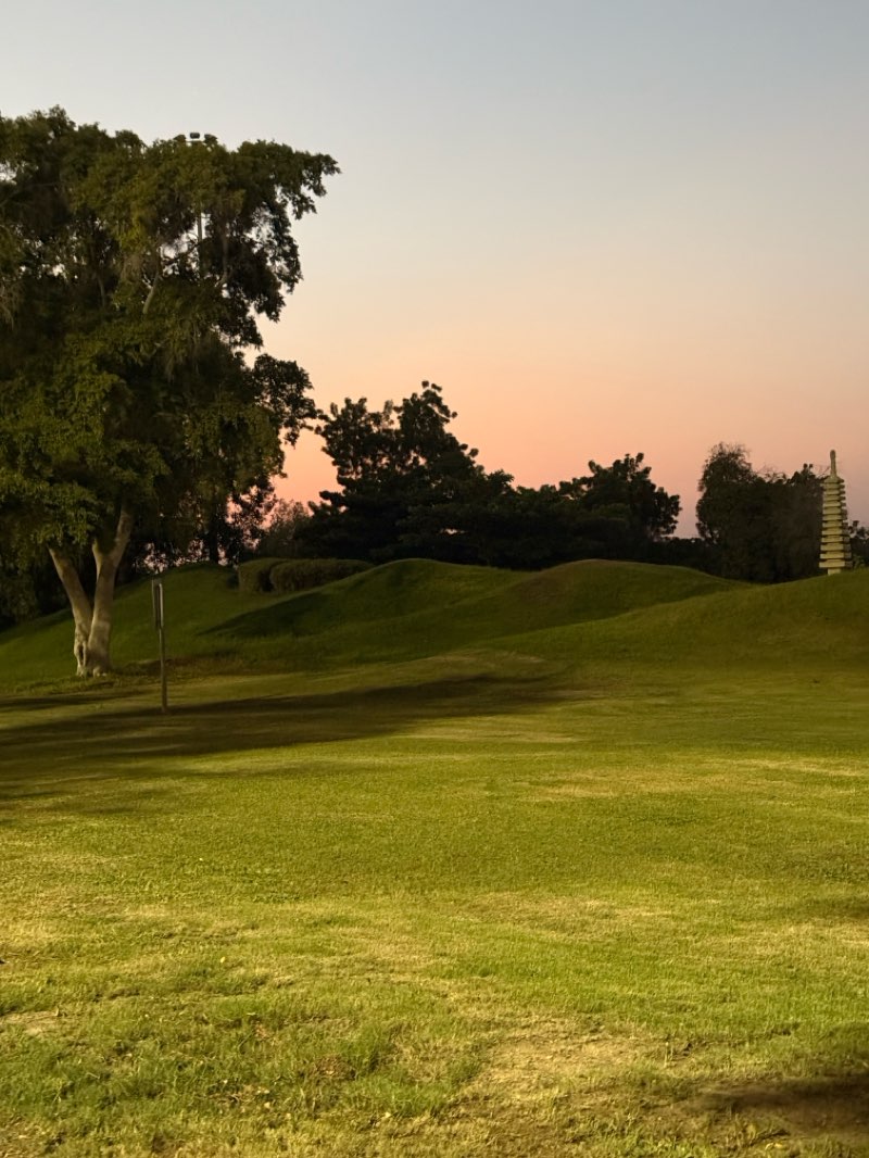 walking near me in Naseem Garden in autumn