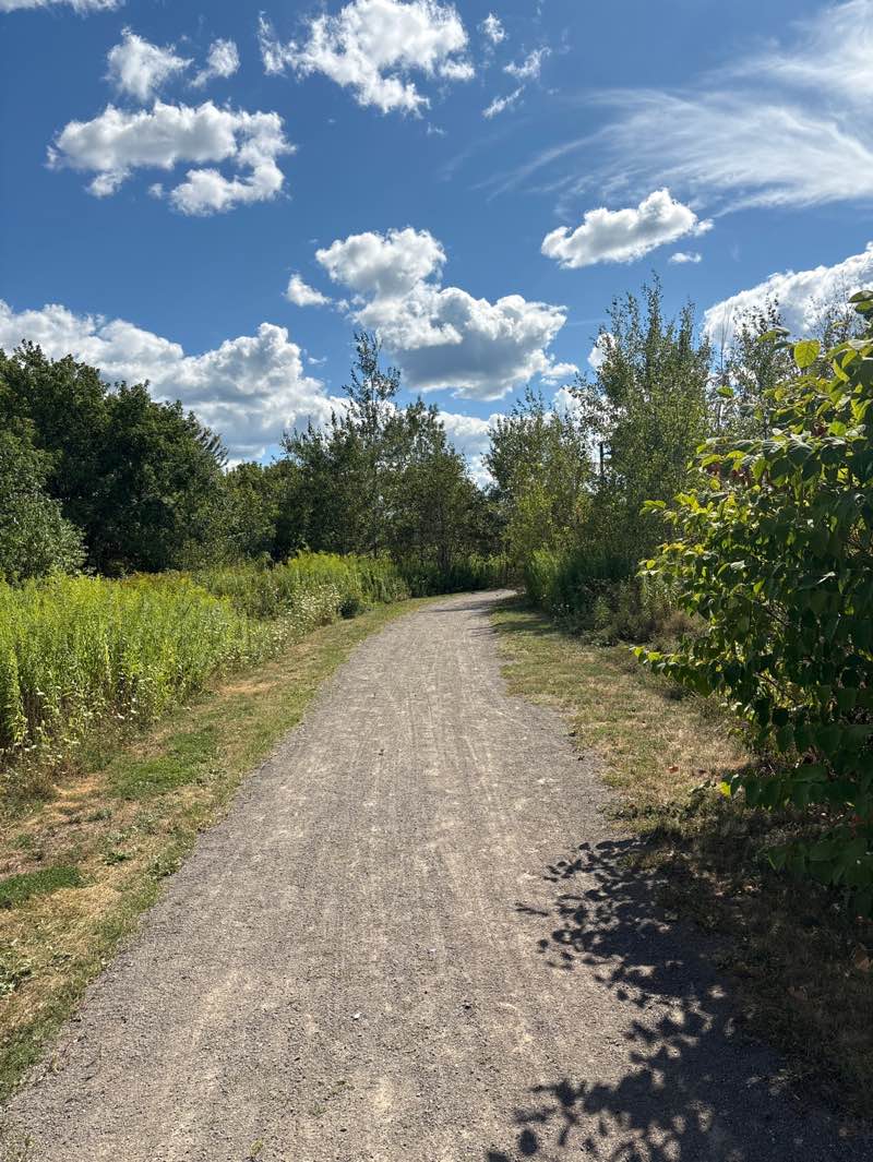 walking near me in Hal Betts Commemorative Sportsplex in autumn