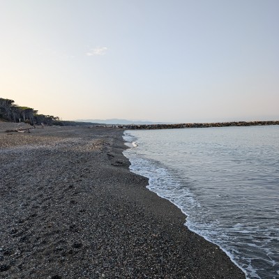 Dorota S_Toronto post 3