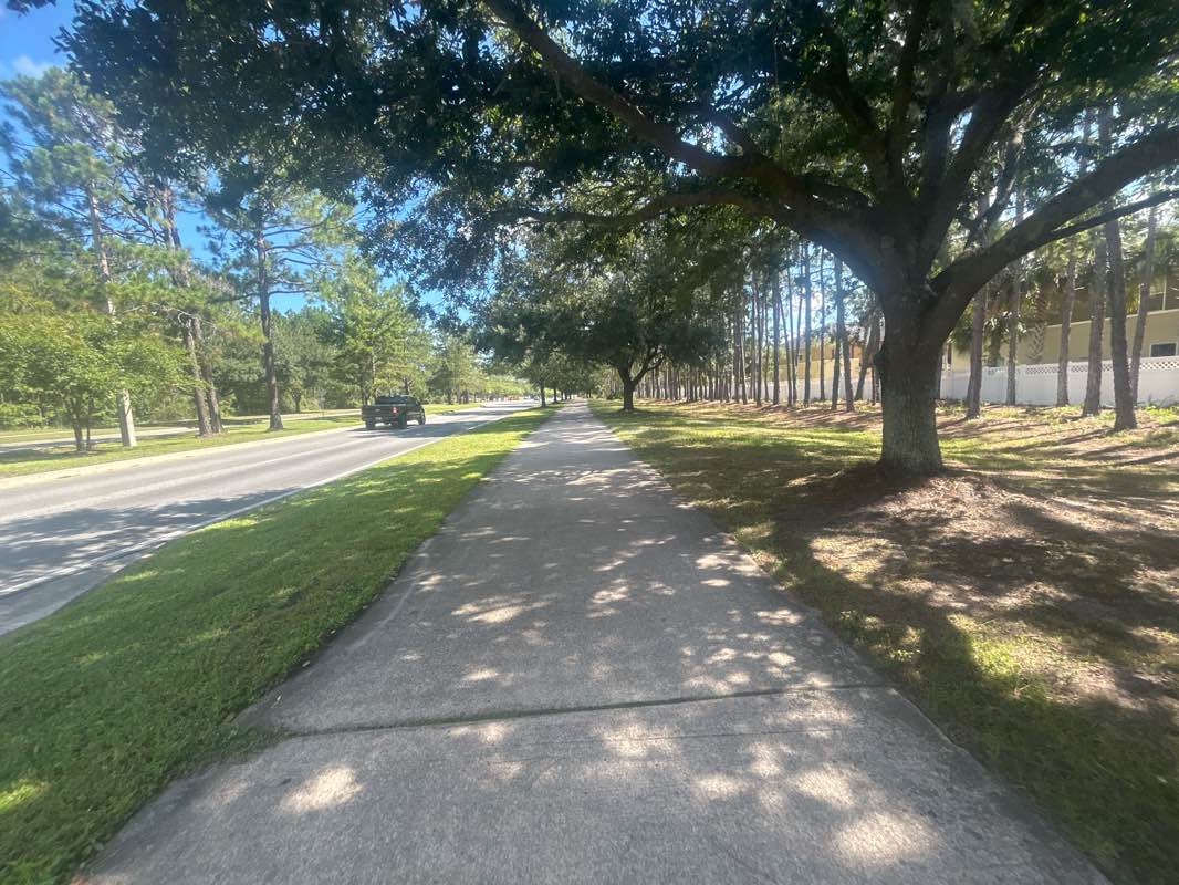 walking near me in Oakleaf Community Park in summer