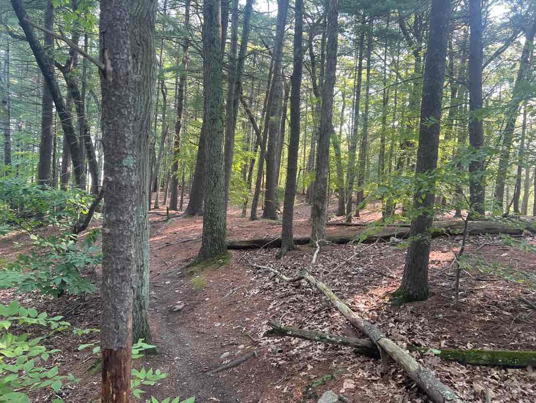 walking near me in Ashland State Park in autumn