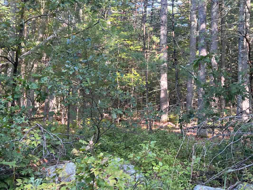 walking near me in Assabet National Wildlife Refuge in autumn