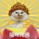 一条酸菜鱼🐱