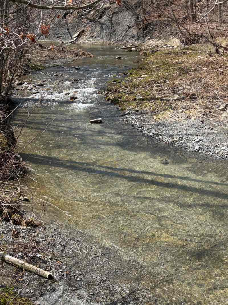walking near me in Darien Lakes State Park in spring
