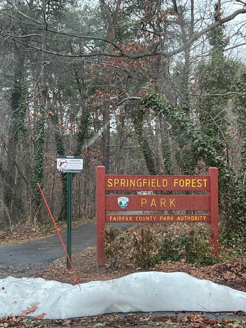 walking near me in Springfield Forest Park in winter