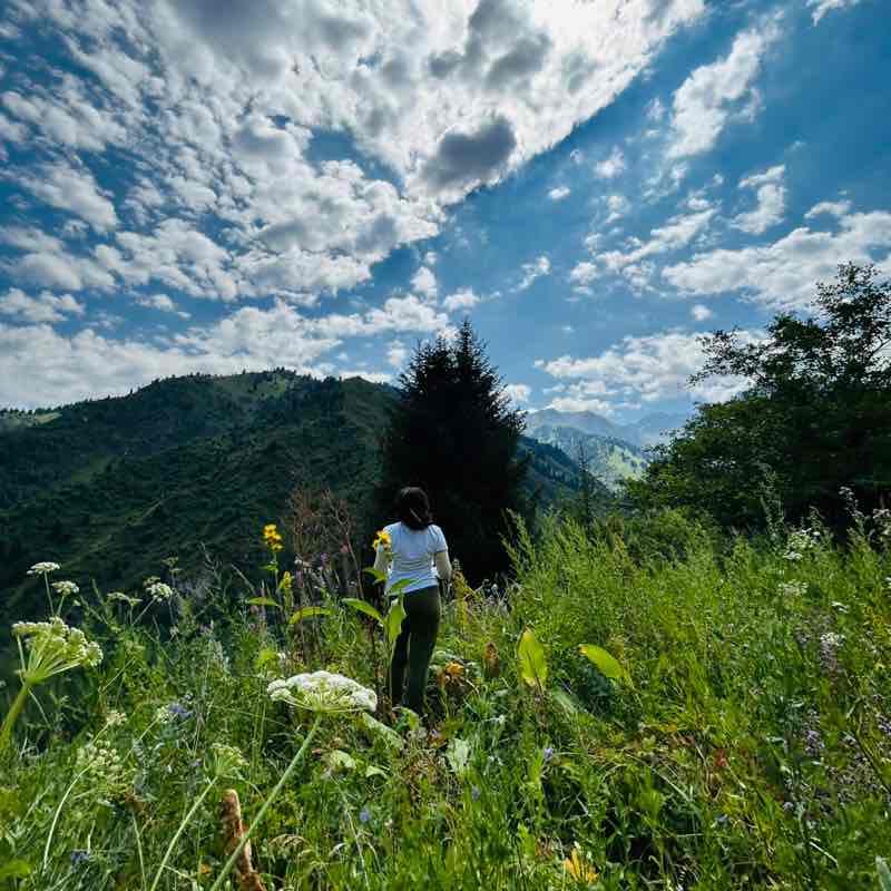 ТрансКом Elvira post image