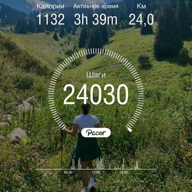 ТрансКом Elvira post image