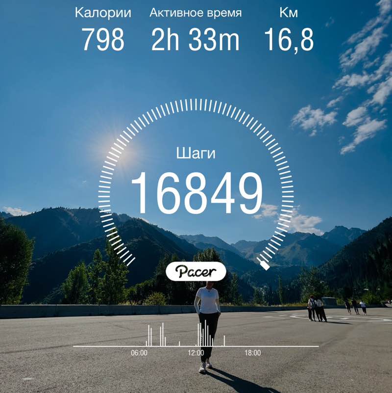 ТрансКом Elvira post image