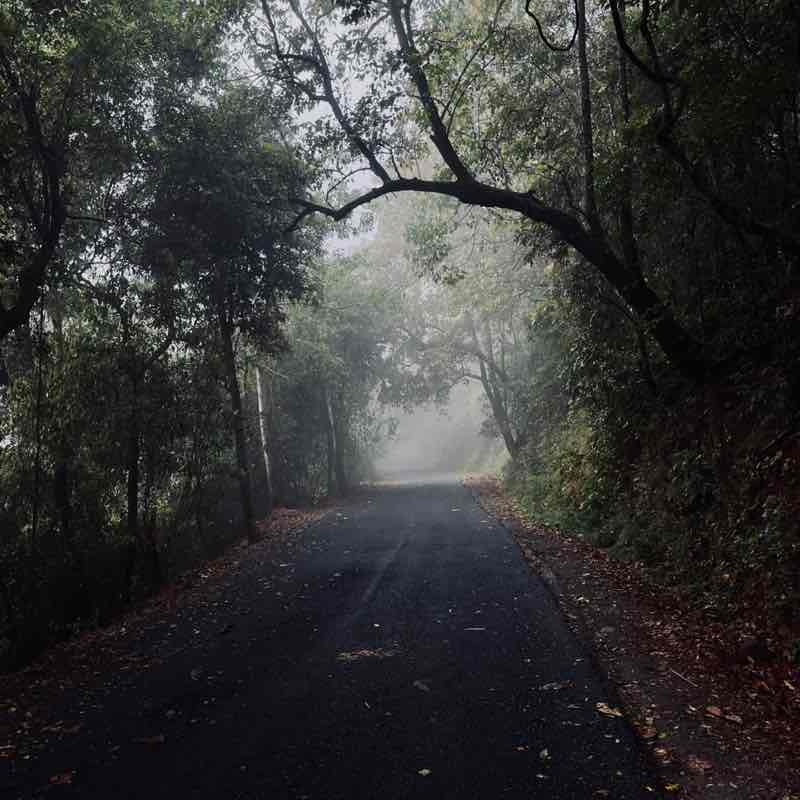 prasad post 2