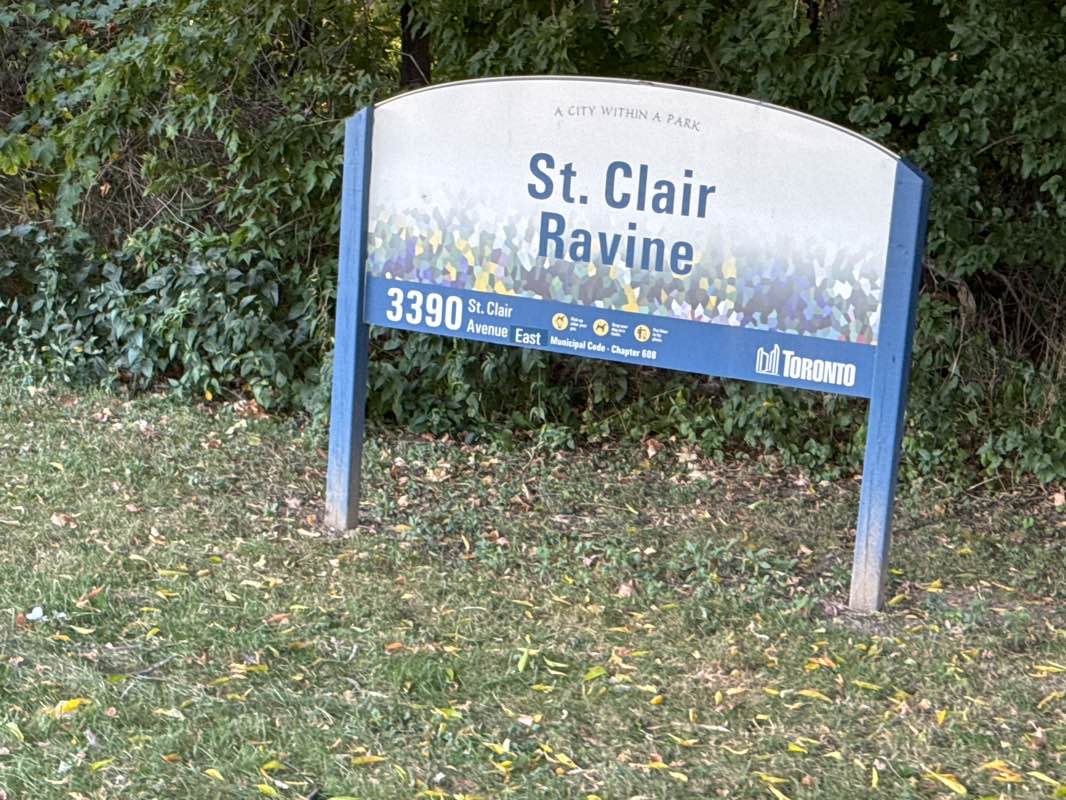 walking near me in Claireville Conservation Area in autumn