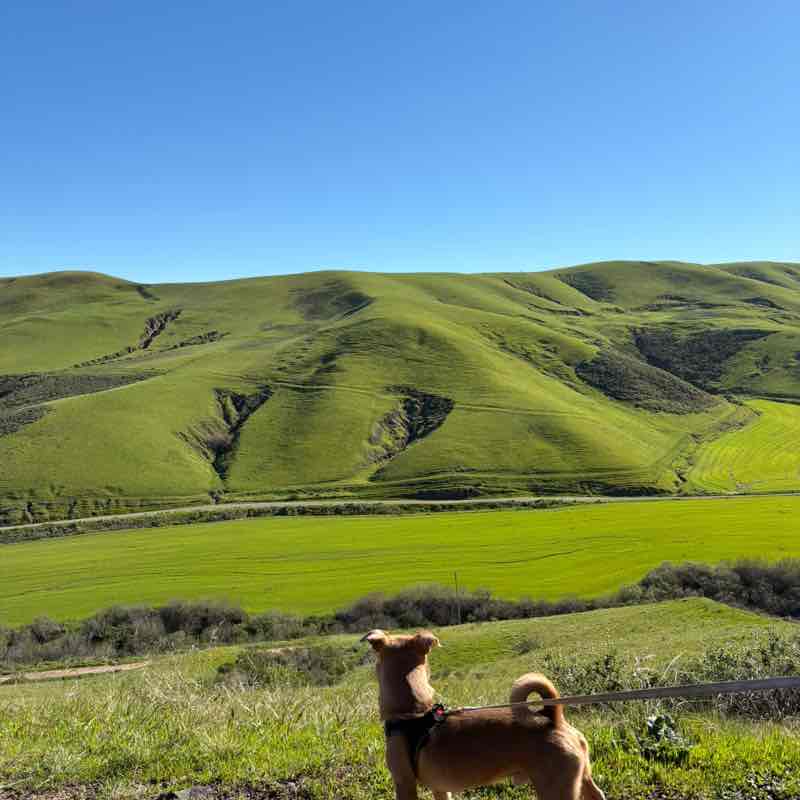 Rosalva Club Rosalva post image