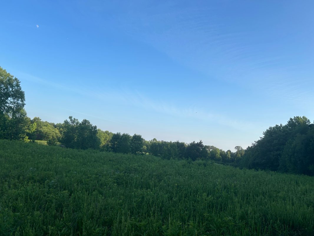 walking near me in Alapocas Run State Park in summer