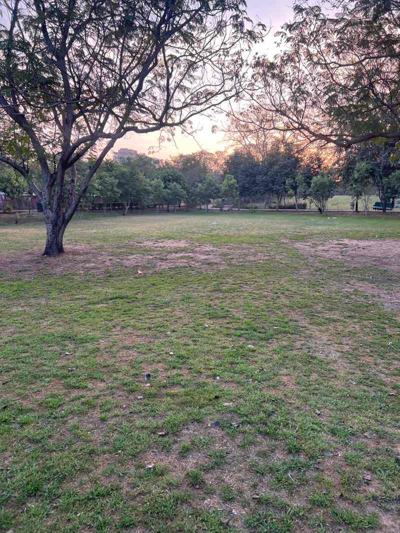 walking near me in Central Park in winter