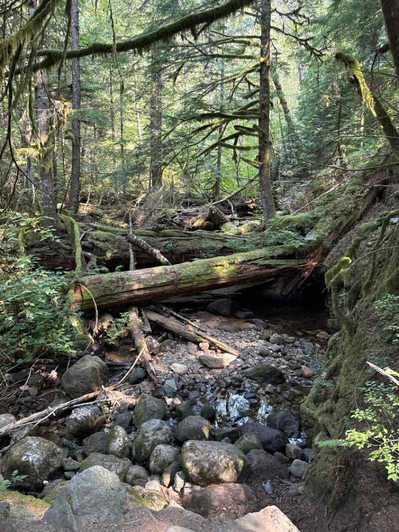 walking near me in Shannon Falls Provincial Park in autumn