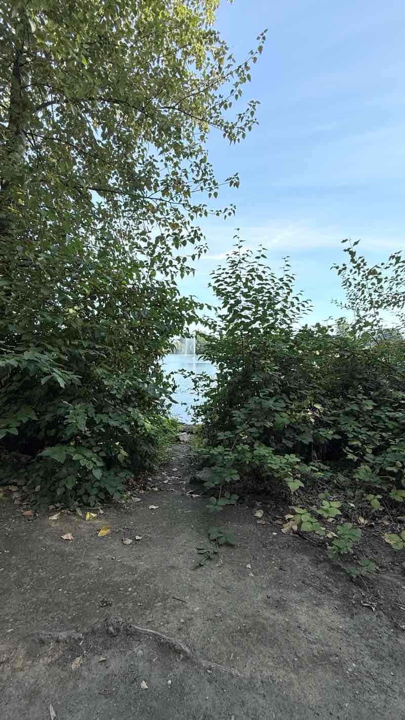 walking near me in Mill Lake Park in autumn