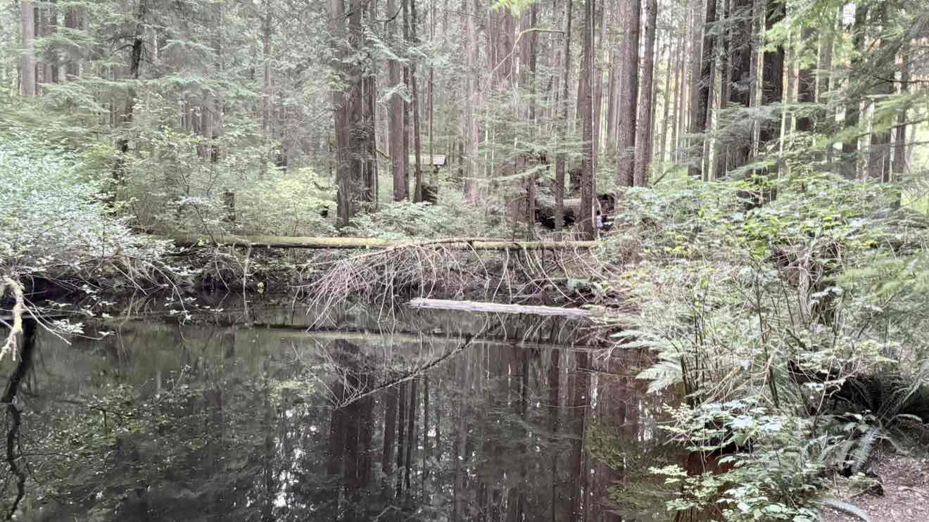 walking near me in Kanaka Creek Regional Park in autumn