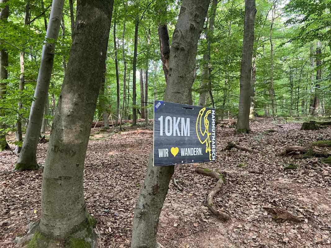 walking near me in Kurpark in autumn