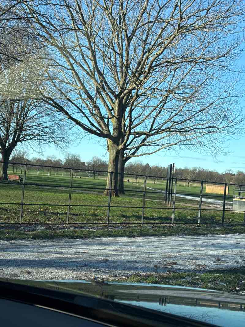 walking near me in Town Fields in winter