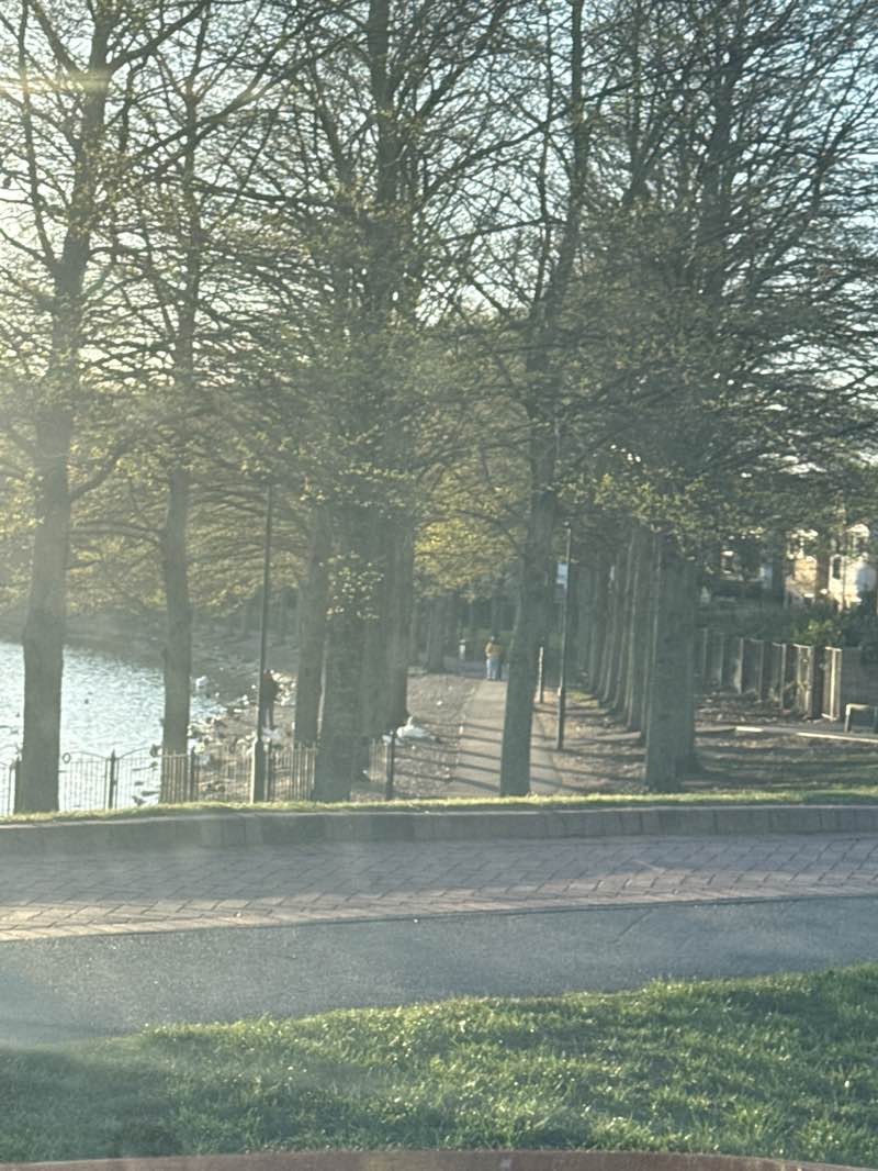 walking near me in Lakeside in spring