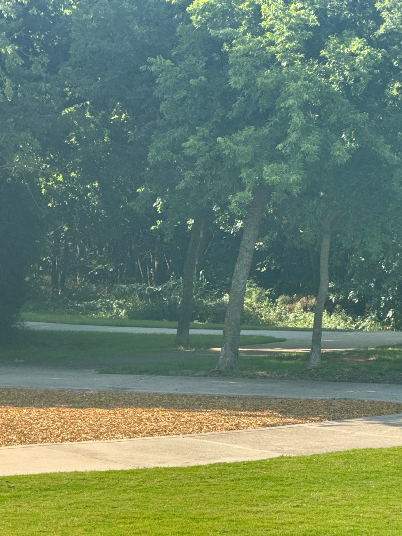 walking near me in Miramonte Park in summer