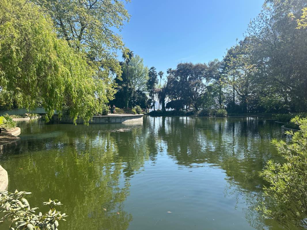 walking near me in Jardins do Museu Romântico in spring
