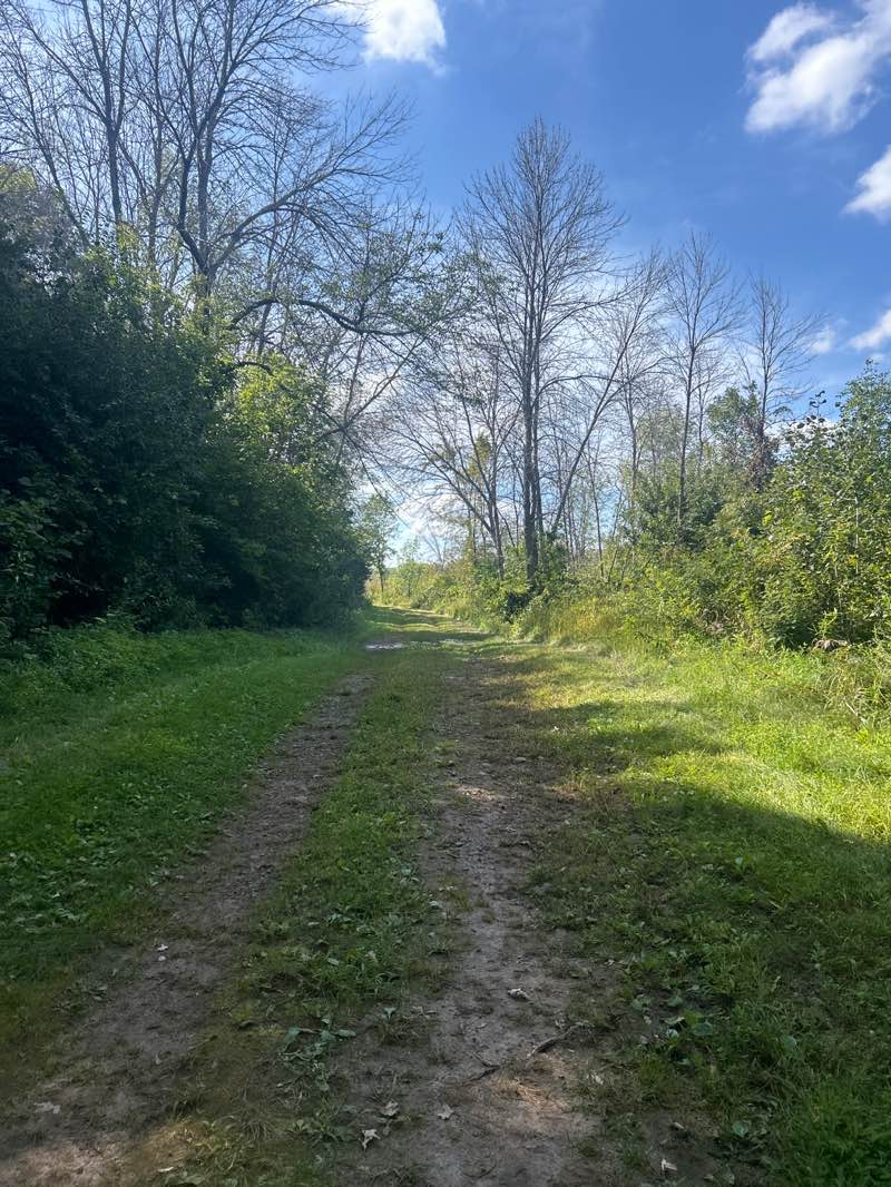 walking near me in Lake Elmo Park in autumn
