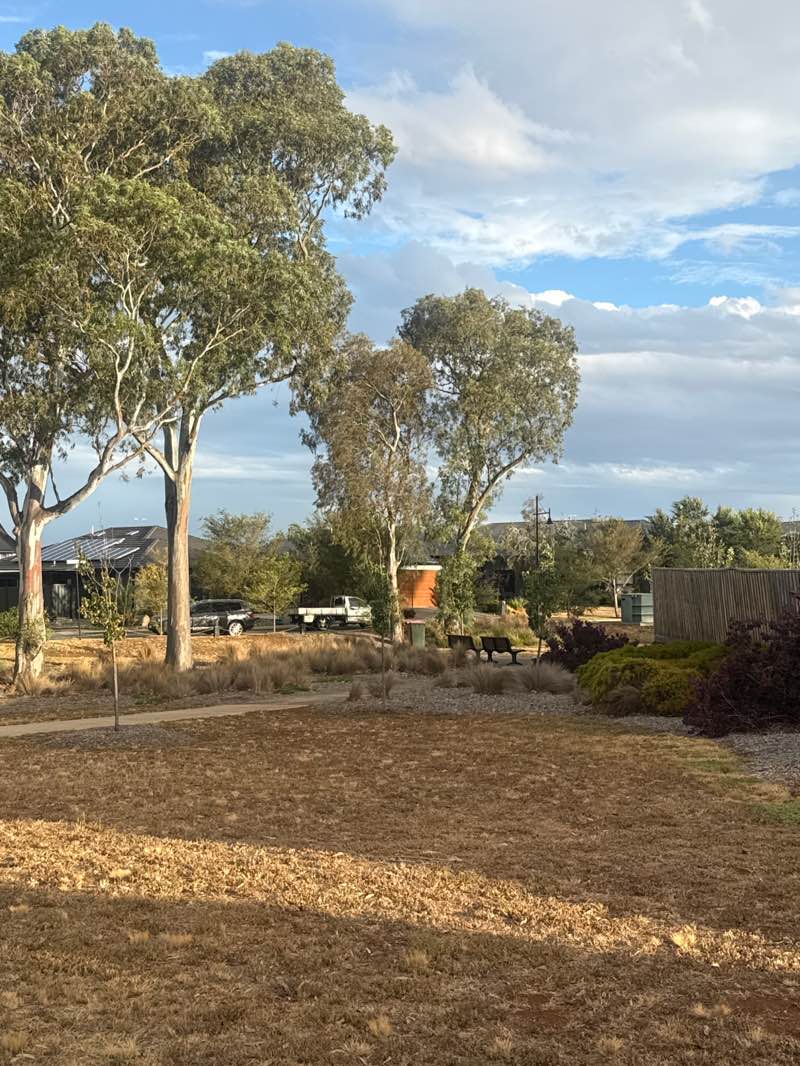 walking near me in Essence Park in summer