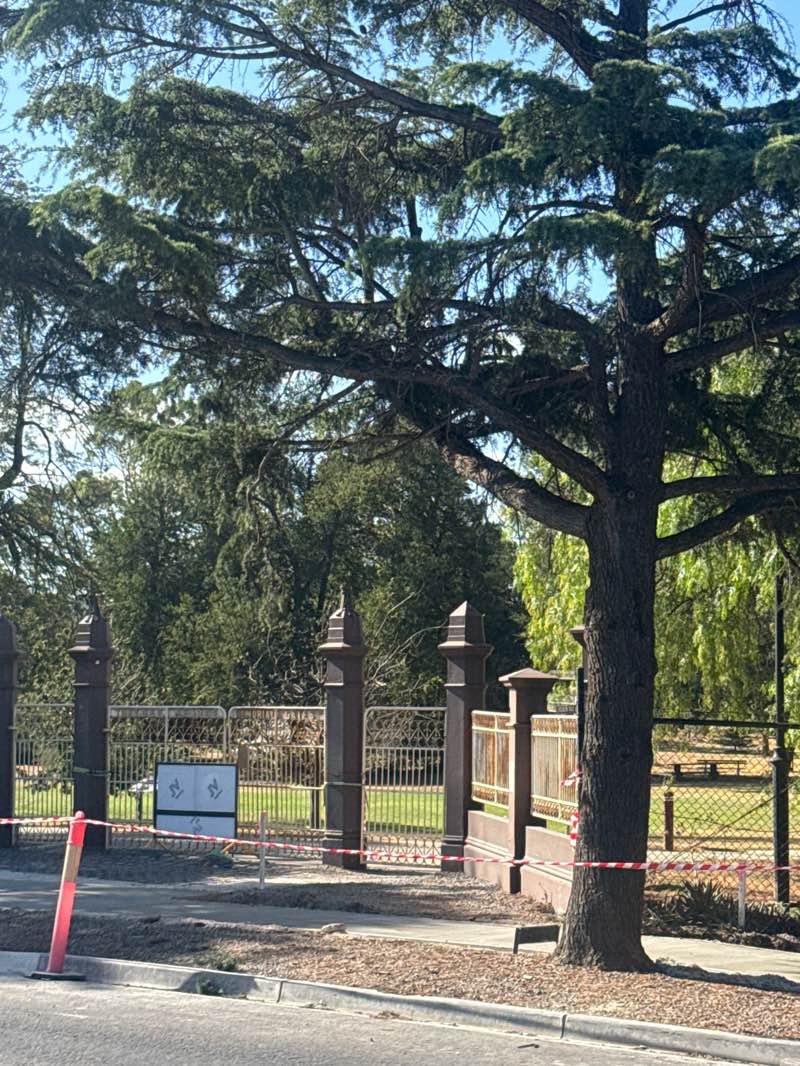 walking near me in Maddingley Park in summer
