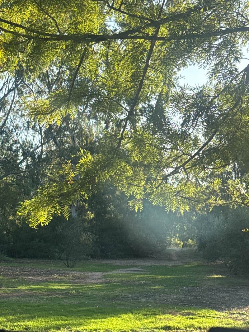 walking near me in Peppertree Park in autumn