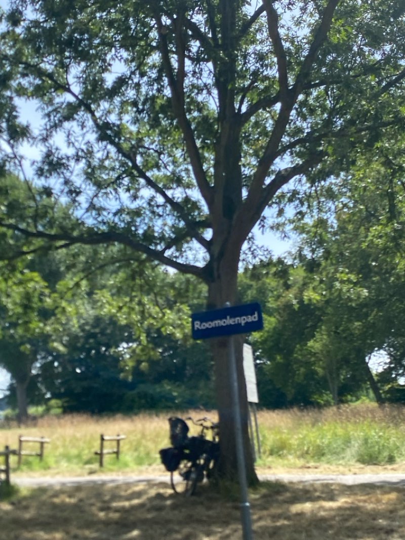 walking near me in Molenplaspark in summer