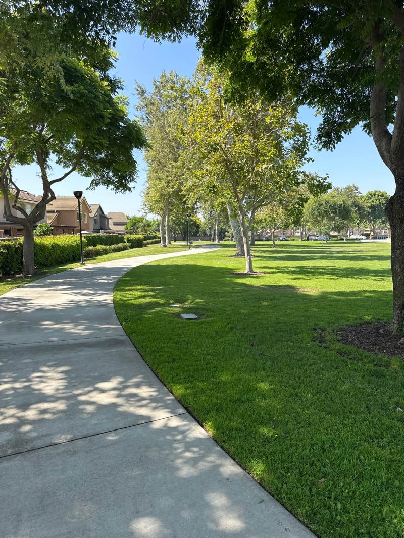 walking near me in Shady Grove Park in summer